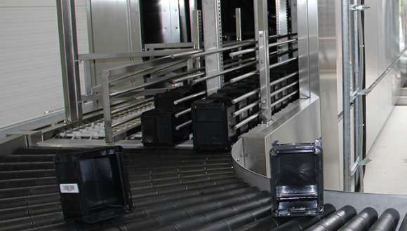Bin washing system
