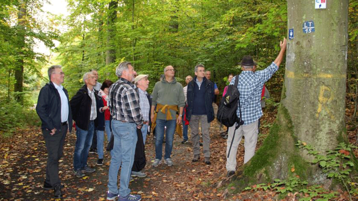 Wandertag rund um den Drillberg