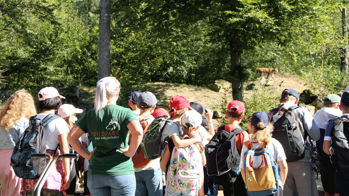 Miki Sommerlager 2024