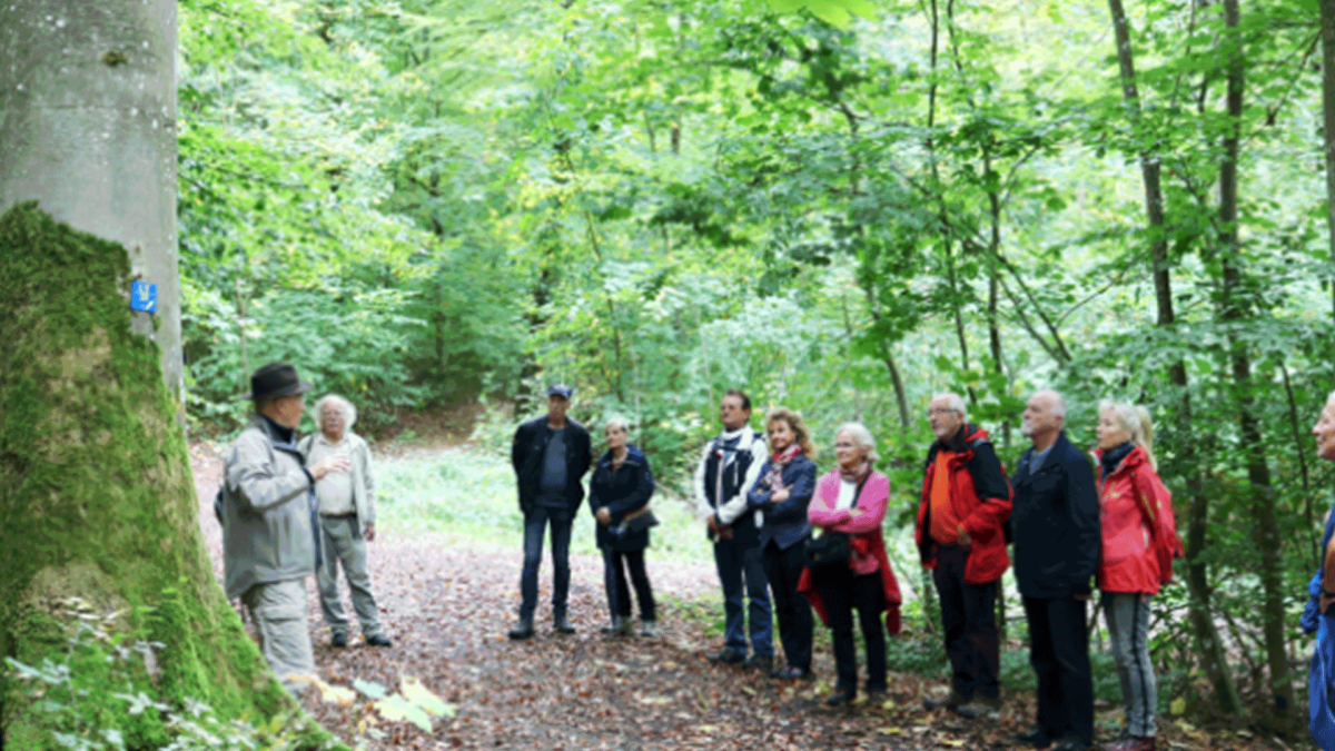 Wanderung zum Industriepark Würth
